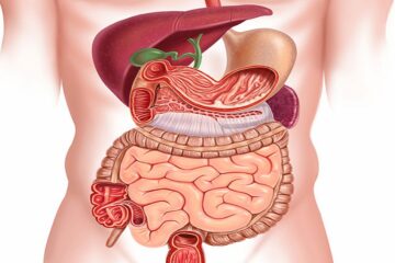 Gastroenterology